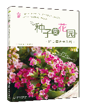 种子变花园:阳台园艺全攻略