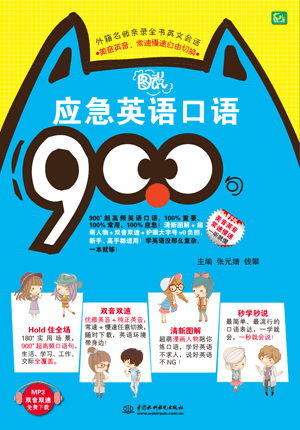  ͼ˵ӦӢ900